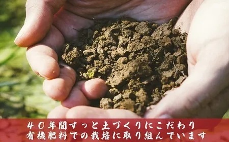 J8-5N05Z【12ヶ月連続お届け】新潟県長岡産コシヒカリ5kg（特別栽培米）