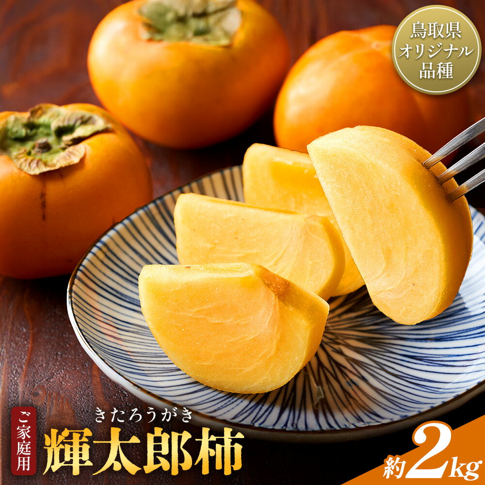 【ふるさと納税】柿 輝太郎柿 ご家庭用 約2kg 鳥取県オリジナル品種 Tottori食のまごころ農園《10月上旬-10月末頃出荷》鳥取県 八頭町 柿 かき カキ 輝太郎柿 きたろうがき 甘柿 果物 フルーツ 秋 旬 送料無料 訳あり