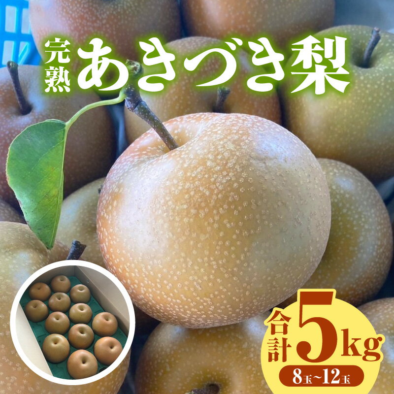 【ふるさと納税】完熟 あきづき梨 5kg 【発送期間:8月中旬〜9/10まで】 【クール便】K283-19 / 期間限定 数量限定 梨 完熟梨 果物 フルーツ 季節限定 季節の果物 旬の果物 季節 旬 国産 愛知県産 西尾市産 グルメ お取り寄せ おすすめ おすそ分け 愛知県 西尾市 送料無料