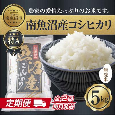 ふるさと納税 南魚沼市 【毎月定期便】無洗米 南魚沼産 コシヒカリ 精米 5kg(美味しい炊き方ガイド付)全2回