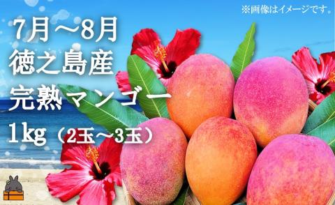 《限定受付》フルーツアイランド徳之島 フルーツ定期便 ( 3回お届け 完熟マンゴー マンゴー パッションフルーツ たんかん 柑橘 果物 徳之島 奄美 鹿児島 定期便 世界自然遺産 旬 )