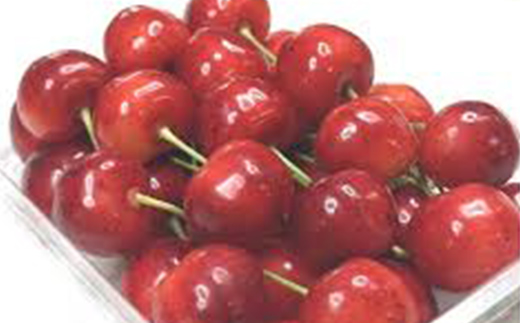 令和9年産【先行受付】山形県産さくらんぼ＜やまがた紅王＞特秀品　300g　2L/3L詰合せ 果物 くだもの フルーツ 夏果物 サクランボ F4A-1042