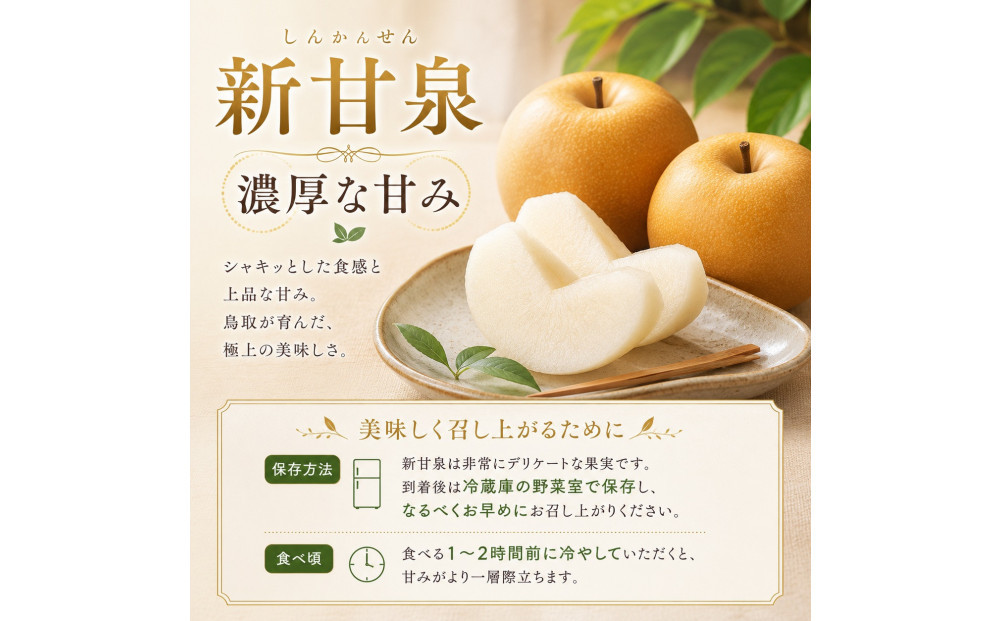 山根農園 新甘泉 ギフト3kg