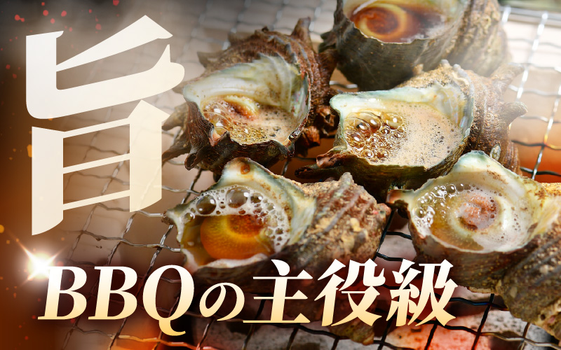 【先行予約】越前町産 天然 サザエ 2kg（500g×4袋）【2026年6月中旬より順次発送】【つぼ焼 BBQ 海鮮 バーべキュー 小分け おつまみ さざえ 福丸フーズ】 [e15-a066]