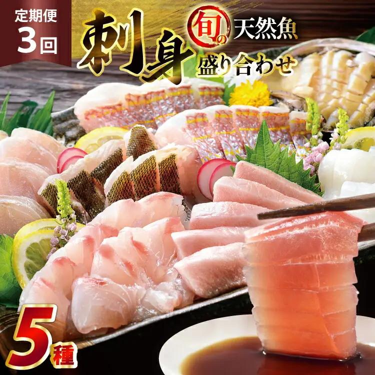 刺身 盛り合わせ 旬の天然魚の刺身盛り 5種 2～3人前 3回 定期便 総計6～9人前 セット 食べ比べ 詰め合わせ