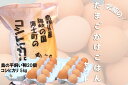 【ふるさと納税】平飼い卵の卵かけご飯セット（平飼い卵20個・コシヒカリ5kg） 御中元 お中元 残暑見舞い