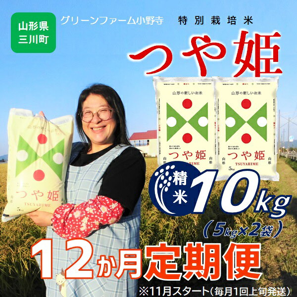 【ふるさと納税】【精米】11月・新米スタート【定期便12回】グリーンファーム小野寺のつや姫10kg×12回（計120kg）※配送期間：令和8年11月～令和9年10月（グリーンファーム小野寺）