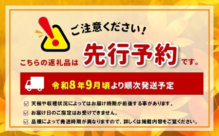 【先行受付】【9月】信州松本産・旬の野菜 おまかせセット（約10～12品）