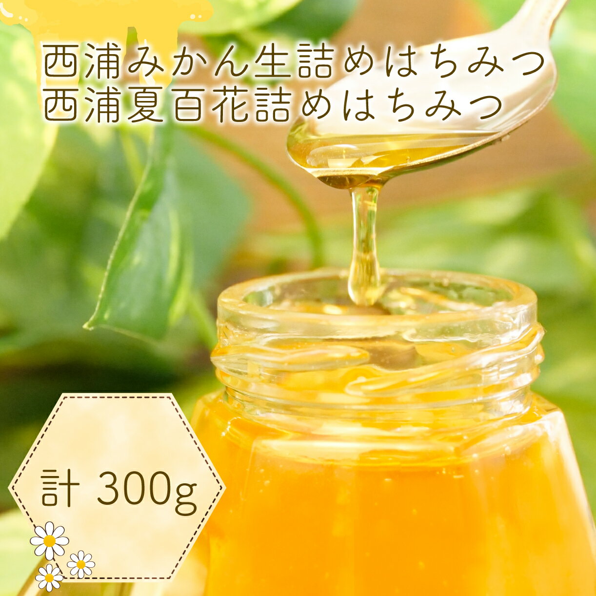 【ふるさと納税】 はちみつ 蜂蜜 100g 3本 セット みかん 純粋