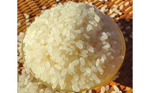 完全自然米 5kg【白米】＋古代米セット_A0038-013