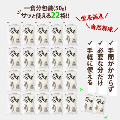 ふるさと納税 大館市 冷凍とろろ　50g×22袋 |  | 02