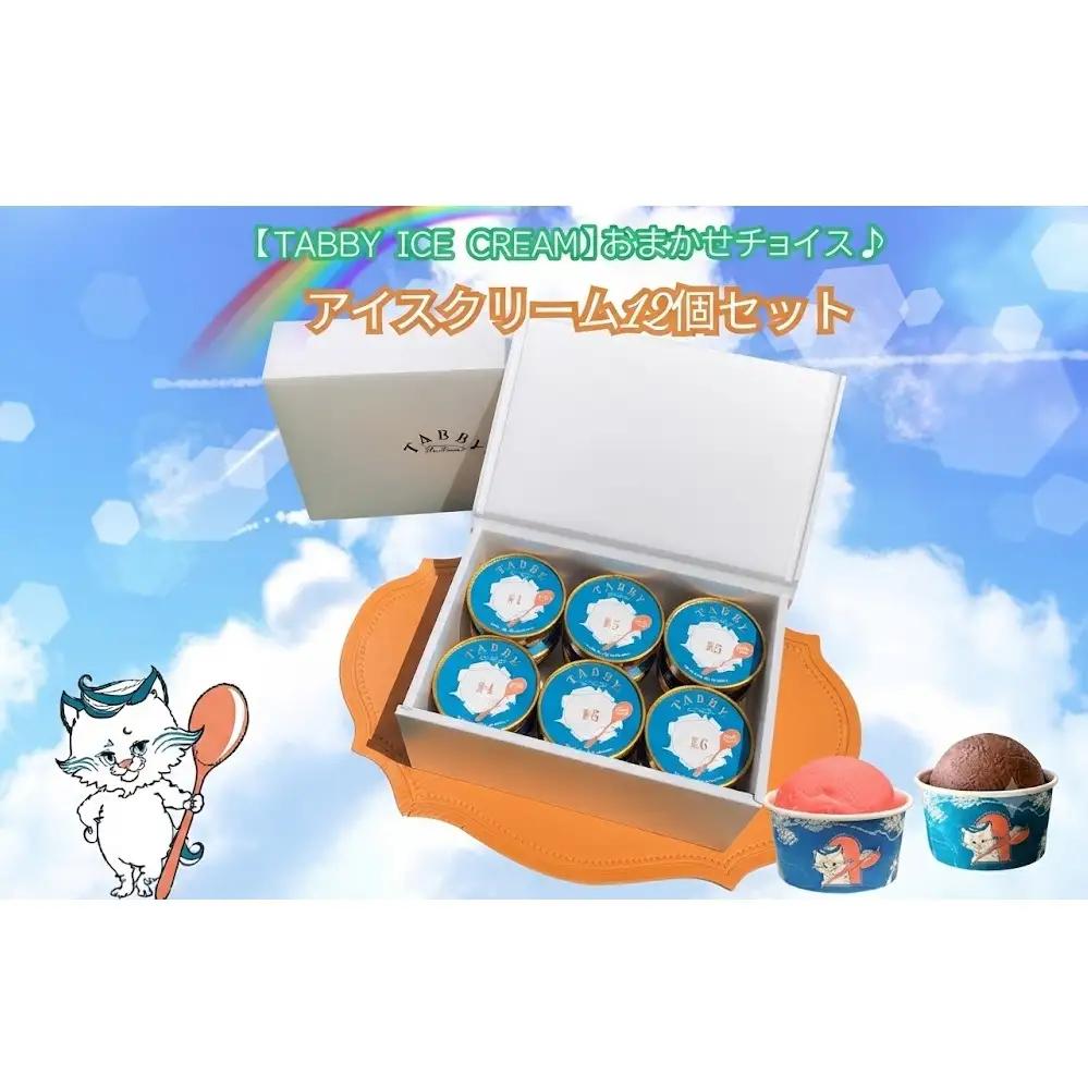 【TABBY ICE CREAM】おまかせチョイス♪ アイスクリーム 12個 セット  カップアイス セット オリジナル 大人気 手作り 天然素材 ヴィーガン 無添加 がん アイスクリーム  デザート スイーツ 甘い 爽やか おやつ