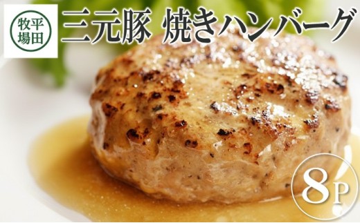 【TVで紹介！】平田牧場 日本の米育ち三元豚 焼きハンバーグ 8個入 冷凍便 ハンバーグ 豚肉 三元豚 おかず おつまみ お弁当 簡単調理 セット 小分け　SA0715