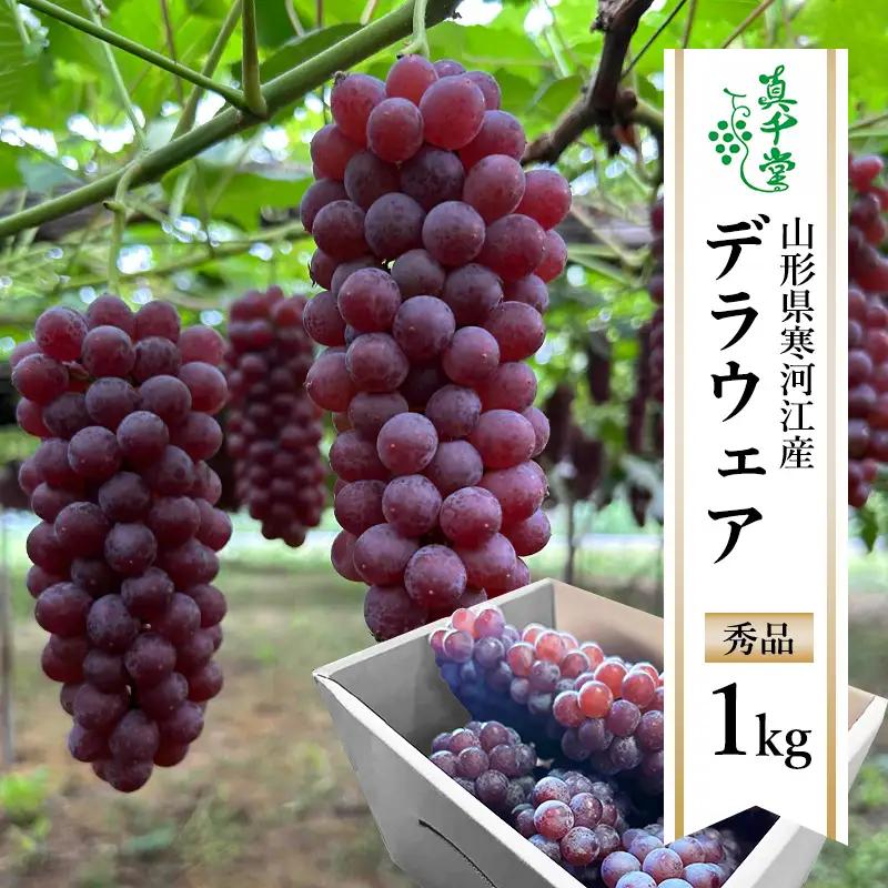 【ふるなびWEEK対象】ぶどう「デラウェア」1kg 種なし 秀品 L～2Lサイズ 2026年産 山形県産【2026年7月下旬頃～8月中旬頃発送予定】令和8年産 ※配送不可 沖縄・離島　008-B-SD001