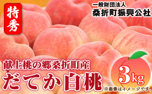 No.180 もも【だてか白桃・2026年産先行受付】特秀3kg（8～11玉）桑折町振興公社　桃 ／ モモ 果物 くだもの フルーツ 甘味 果汁 ジューシー 桑折 こおり こおりまち 福島県 特産品