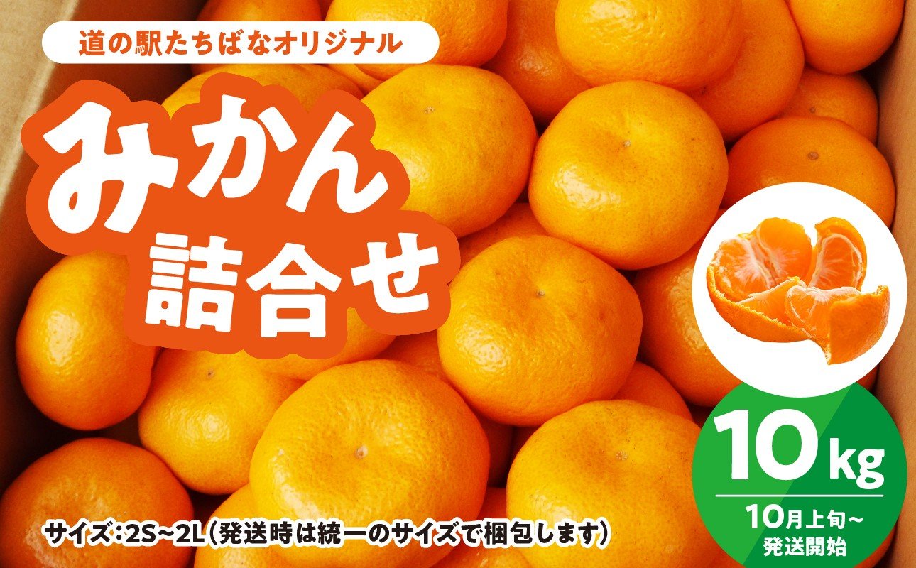 
            ＜道の駅たちばなオリジナル＞みかん10kg詰合せ みかん みかん 10kg 蜜柑
          