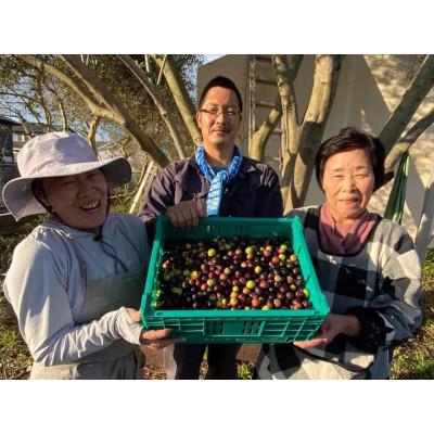 ふるさと納税 館林市 ジャングルデリバリーのオリーブオイル100ml「レモンフレーバー」「柚子フレーバー」2本セット　 |  | 02