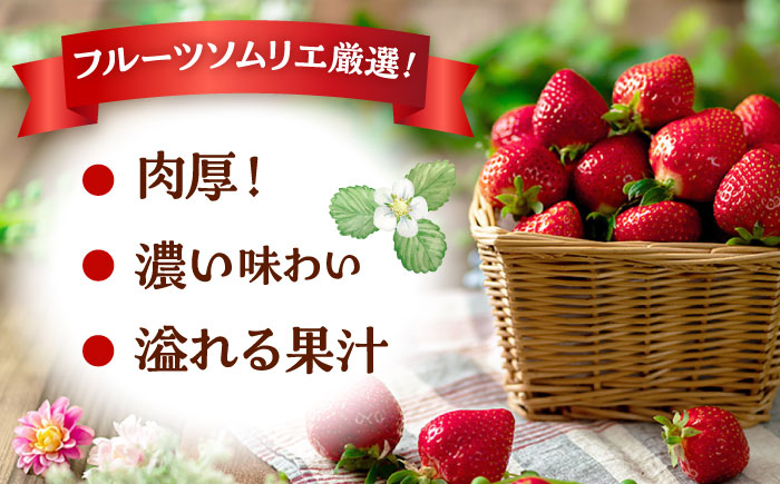 あまおう 博多 福岡 イチゴ 苺　ストロベリー