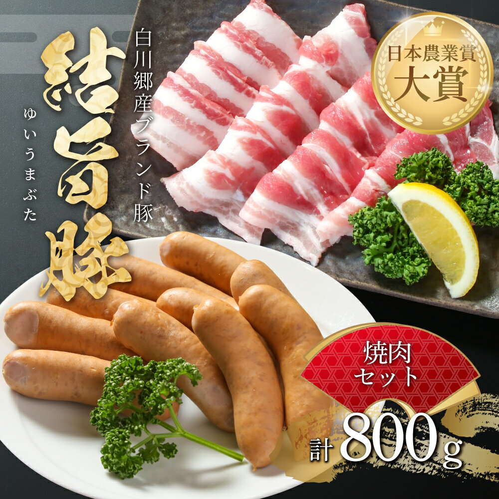 【ふるさと納税】結旨豚 焼肉 セット バラ焼肉 500g ソーセージ 300g 計800g 冷凍真空パック | 肉 お肉 豚肉 国産 食べ比べ 白川郷 岐阜県 白川村 ブランド豚 人気 おすすめ ギフト 飛騨高山ミート 11000円 [MS023]