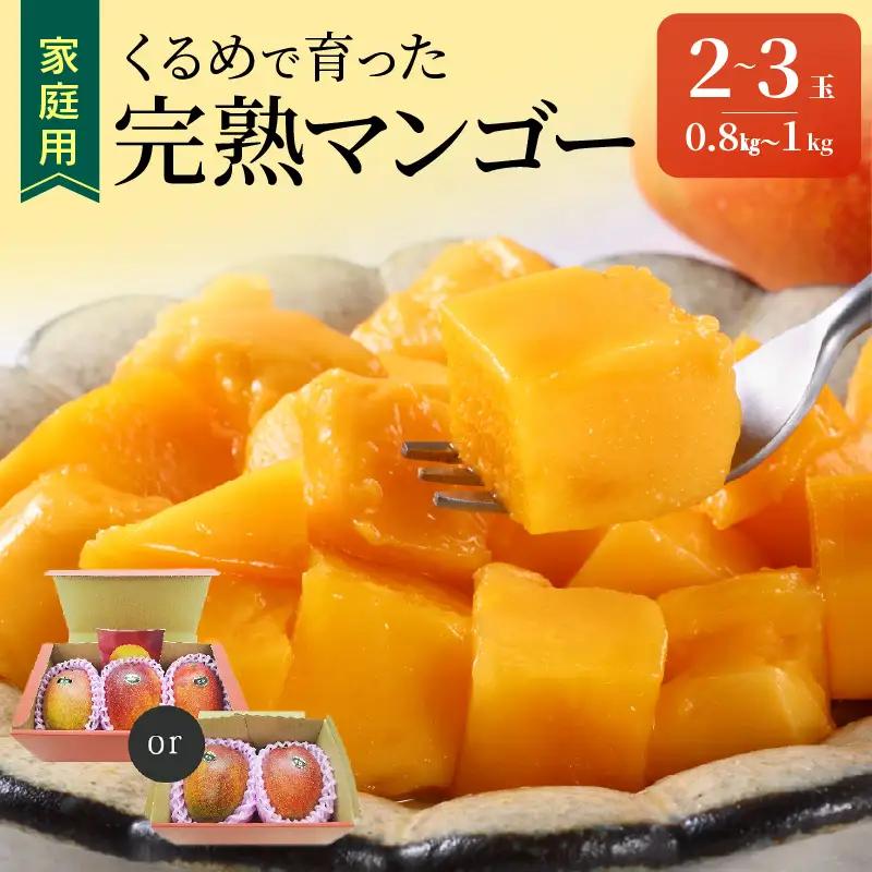 【2027年7月以降お届け】【家庭用】くるめで育った完熟マンゴー（2～3玉：約0.8～1kg）_ 〔Fm009-023〕
