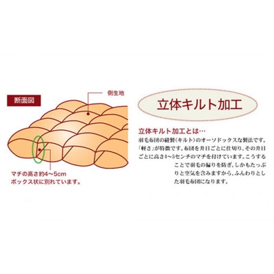 ザ・羽毛布団 プレミアムゴールドラベル シングル 150×210cm ポーランド産グース 立体キルト【1688822】