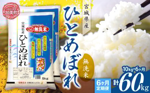 【定期便6回】令和7年産 宮城県産 ひとめぼれ 無洗米10kg(5kg×2）×6回   [ カメイ 宮城県 加美町 ]  お米 こめ コメ 精米 白米 ひとめぼれ | km-hb10-mu-t6-r7