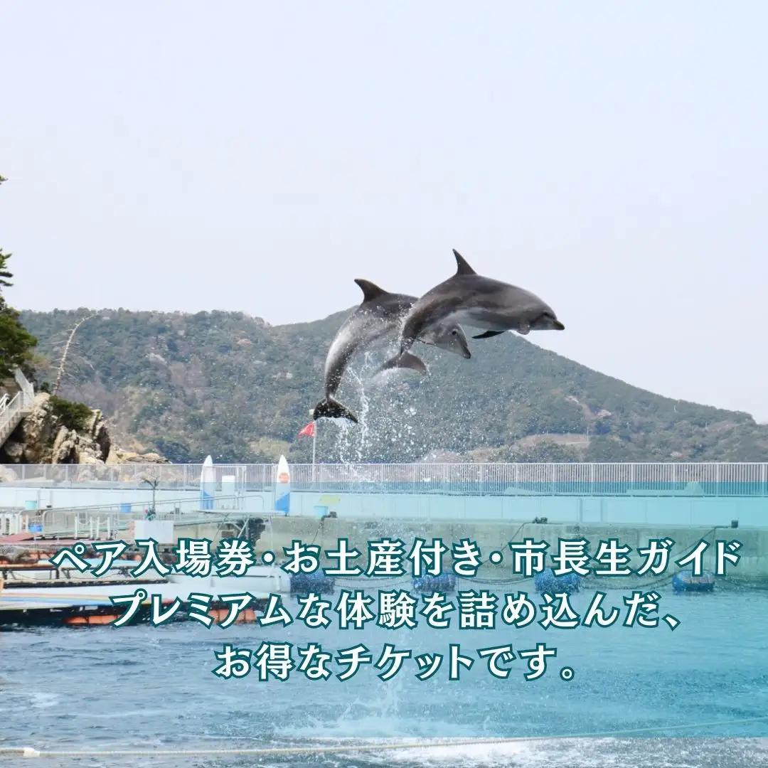 イルカ体験【お土産付】 市長が案内する「つくみイルカ島」 ペア入場券