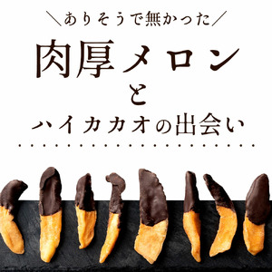 【10月～4月配送限定】高級フルーツと高級チョコのコラボ お取り寄せスイーツ メロンジェット 200g×2_MH140-0065-400