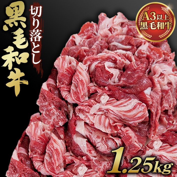 【ふるさと納税】黒毛和牛切り落とし250g×5パック 合計1250g 1.25kg［No.442］