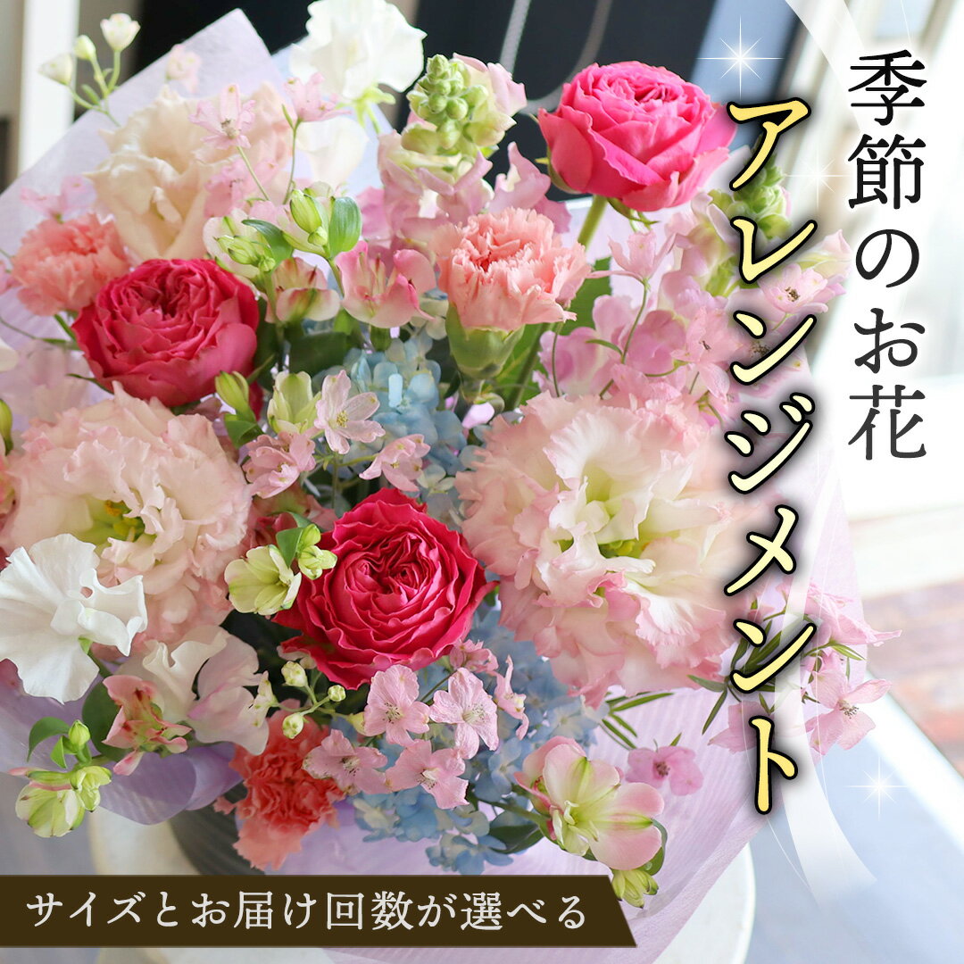 【ふるさと納税】季節のお花アレンジメント 【選べるサイズと回数】ミニ S M L LL 単品 定期便 6回 12回 アレンジメント 花 お花 生花フラワー ギフト プレゼント