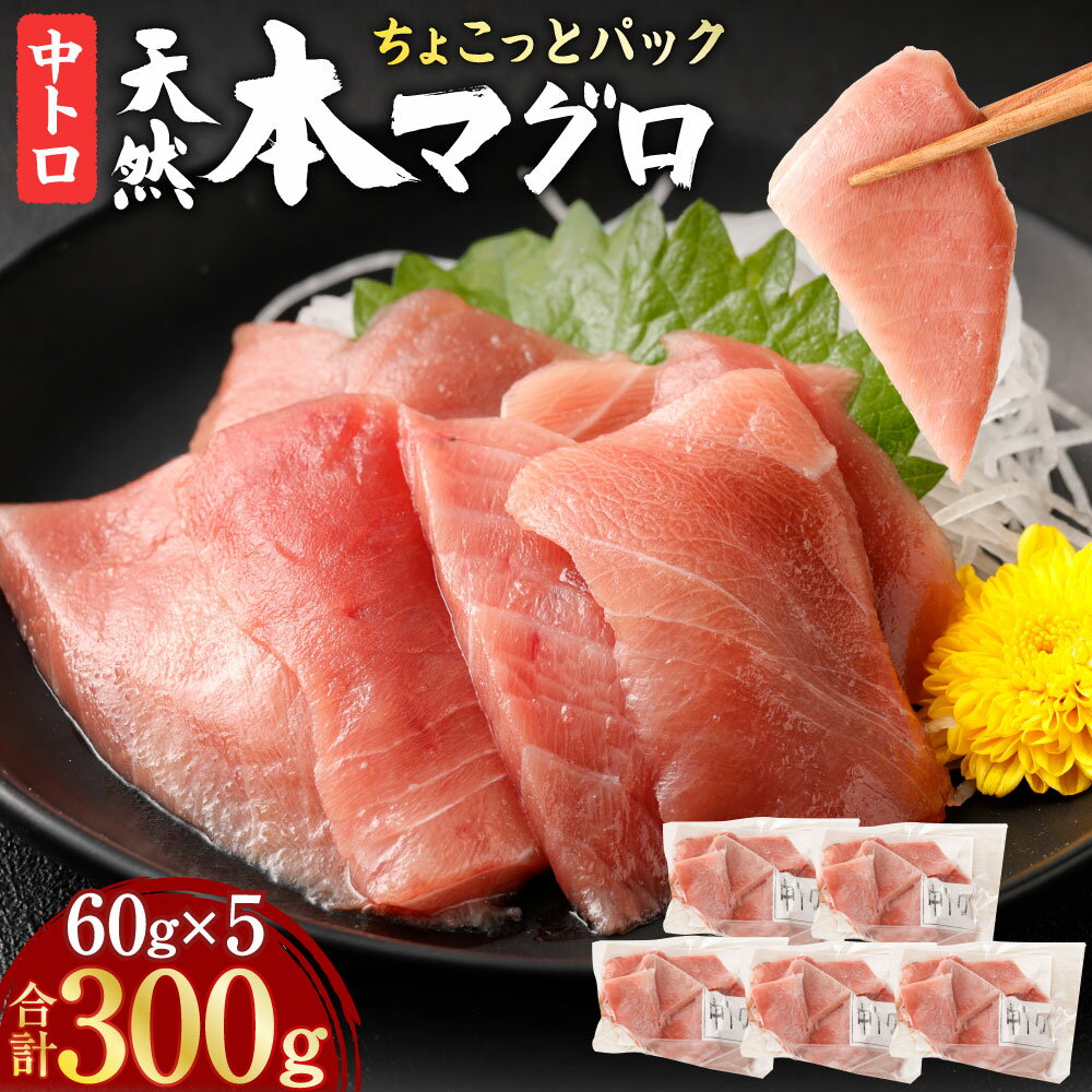 【ふるさと納税】 天然本まぐろ 中トロ 切落し 300g | 60g×5パック 食べきりサイズ 中とろ 切り落とし マグロ 鮪 海産物 魚 刺身 魚介類 海鮮 小分け 簡単解凍 調理 惣菜 訳あり 規格外 高知県 不揃い コロナ 緊急 冷凍 10000円代 1万円代 高知県 室戸市