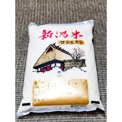 ふるさと納税 聖籠町 【精米10kg】新潟県産コシヒカリ(特別栽培米)近藤農園