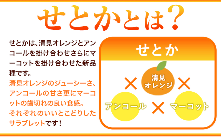 【先行予約】【家庭用 訳あり】とろける食感!ジューシー柑橘 せとか 約 5kg 魚鶴商店 《2026年2月上旬-3月中旬頃出荷》 和歌山県 日高町 みかん 柑橘 果物 フルーツ 送料無料(F)
