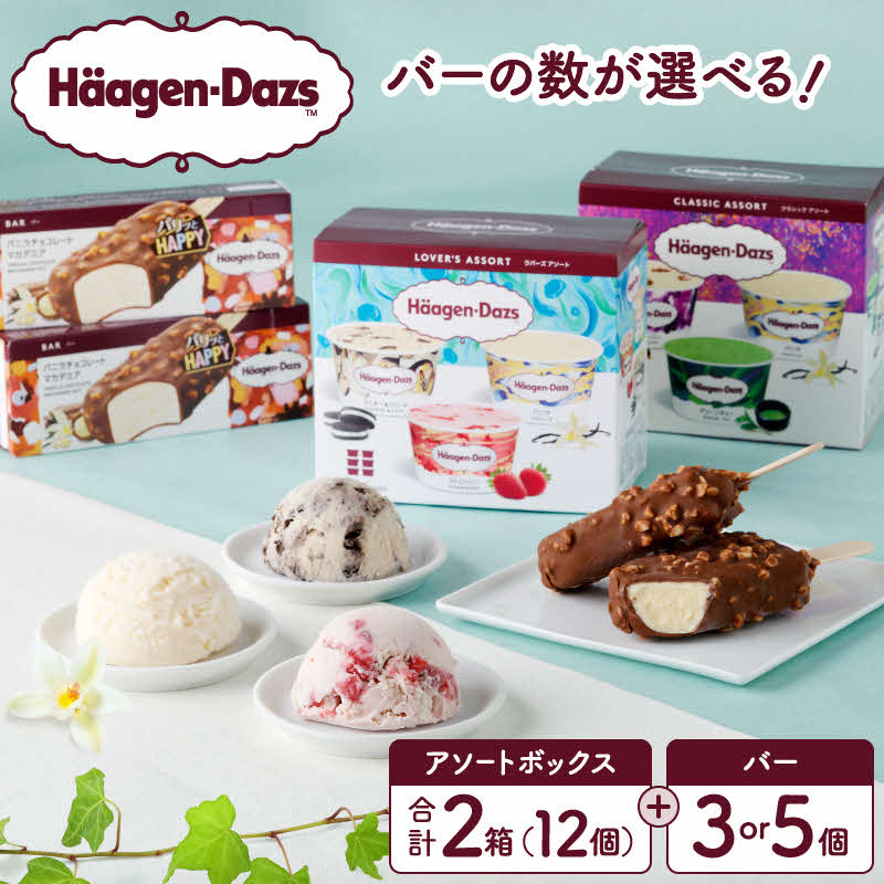 ハーゲンダッツ アイス ＆ バー セット バニラチョコレートマカデミア バニラ ストロベリー クッキー&クリーム ショコラ ラム グリーンティー アイスクリーム お取り寄せ スイーツ 北海道 浜中町 送料無料