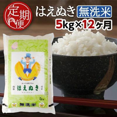 ふるさと納税 酒田市 【毎月定期便】無洗米はえぬき5kg全12回