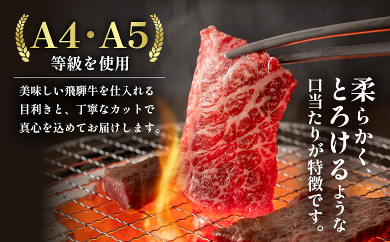 【7営業日以内発送】 飛騨牛 BBQセット (カルビ300g＋もも・カタ焼肉用400g) 計700g A5 A4 国産 牛 冷凍 和牛 牛肉 カルビ もも モモ カタ 肩 かた 豪華 ギフト 贈答  