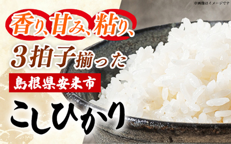 【新米 先行受付】【定期便 3か月】食味鑑定士厳選　島根こしひかり 5kg（5kg×1袋）【白米 コシヒカリ 令和7年産 先行予約 新米予約 精米 島根県 安来市】