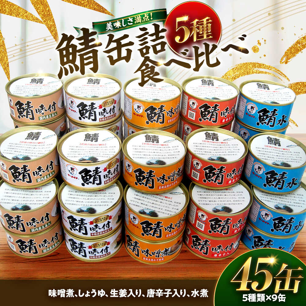 【ふるさと納税】若狭の鯖味付缶詰 2種食べ比べ6缶セット (しょうゆ仕立て×3缶、唐辛子入×3缶) キャンプ アウトドア おつまみ 酒の肴 保存食[A-075018] [BFBS014]