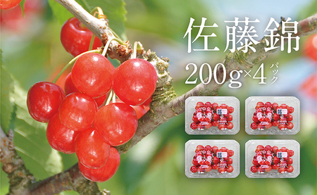 ＜先行予約＞ さくらんぼ 佐藤錦 秀品 L 800g 200g×4 パック【6月中旬～6月下旬発送】農家直送 山形県 朝日町産 農産物 フルーツ 山形産 バラ詰め サクランボ 高級 果物 初夏
