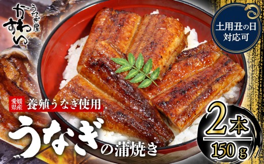 【容量選択可】【土用丑の日】【7月24日にお届け！】〈うなぎ屋かわすい〉愛媛県松山市養殖うなぎを使用！うなぎ蒲焼 2本 (1尾：150～169g)  ｜うなぎ ウナギ 鰻 蒲焼き 国産 お取り寄せ グルメ ふるさと納税  簡単調理 土用丑の日 ギフト 贈り物 お中元 お歳暮 母の日 父の日  かわすい 川口水産 愛媛県 松山市