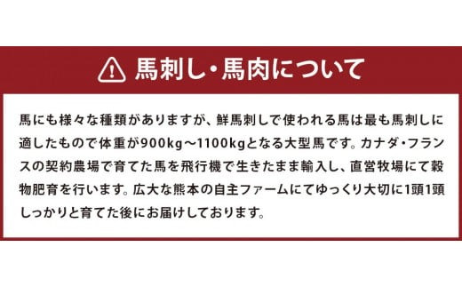 鮮馬刺し 赤身ユッケ 約50g×10個セット 約500g 馬肉 馬刺し 馬刺 熊本馬刺し 赤身 ユッケ