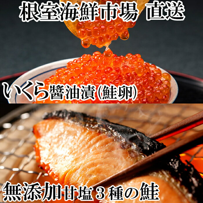 根室海鮮市場＜直送＞紅鮭・時鮭・秋鮭切身各5切、いくら醤油漬け(鮭卵)80g×2P