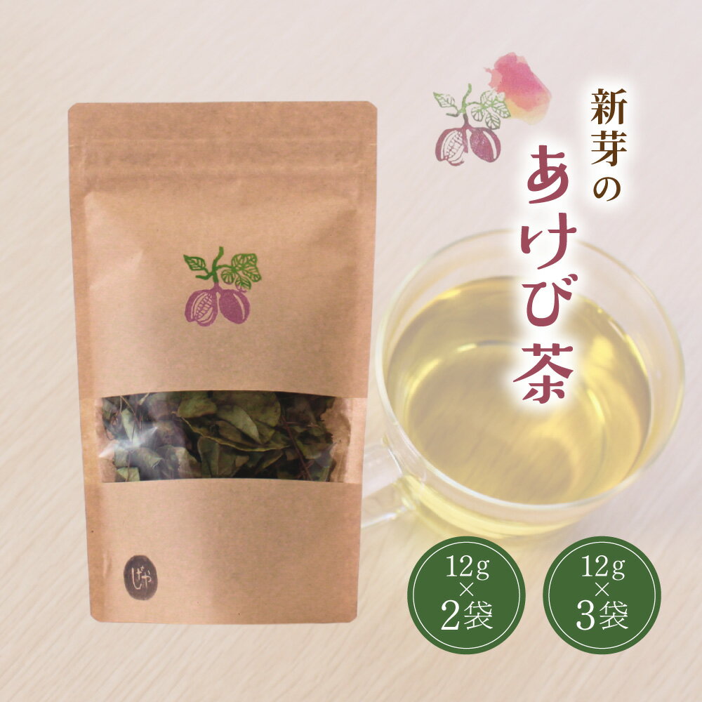 【ふるさと納税】 新芽のあけび茶 / アケビ 岡山県 真庭市 しげや