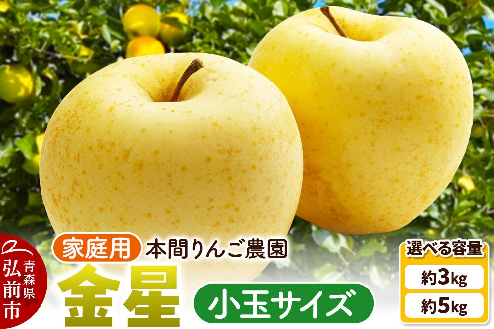 
                  りんご【26年12月発送】金星 小玉 家庭用【選べる約 3kg／5kg】先行受付 青森県 弘前市 果物 フルーツ 林檎 リンゴ くだもの 不揃い 規格外 [先行予約 産地直送 アップル おいしい 果実 美味 甘い 黄色] [u9]
                