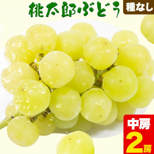 【ふるさと納税】ぶどう 桃太郎ぶどう 中房2房(約400g×2房) ふじまる《8月下旬-9月中旬頃出荷》岡山県 笠岡市 送料無料 葡萄 フルーツ 果物 ももたろうぶどう 桃太郎 お取り寄せフルーツ