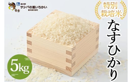 市貝町産 特別栽培米〈なすひかり〉5kg ｜ 国産 栃木県産米 お米 特別栽培米 精米 白米 栃木米 とちぎ米 ※離島への配送不可 ※2025年9月中旬頃より順次発送予定