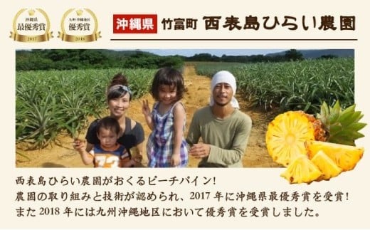 2026年 先行予約 定期便 週1 ピーチパイン 約18kg (約6kg(6～10玉)×3回配送) "いってＱ"でも紹介された 西表島ひらい農園 濃密 約18kg（約6kg（6～10玉）を週1度、3回