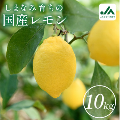 【先行受付】レモン 10kg　国産 きれい おいしい KC00790【配送不可地域：離島】