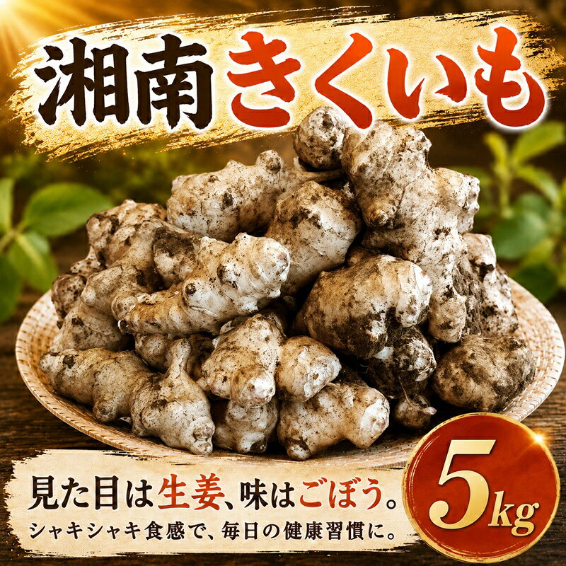 【ふるさと納税】生 菊芋 5kg きくいも 国産 湘南きくいも イヌリン 11月上旬以降発送開始 キクイモ 土付き ヘルシー 掘りたて 新鮮 シャキシャキ サラダ 素揚げ 天ぷら 味噌汁 煮物 スープ ポタージュ 食物繊維 先行予約 産地直送 農家直送 八〇八 神奈川 湘南 藤沢