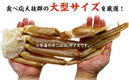[024-j001] 【4か月連続お届け】カット生ずわい蟹 内容量1000g／総重量1300g